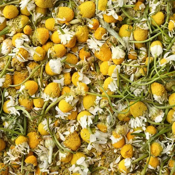 bigstock-Dried-chamomile-flowers-close-198936478-257331_1080x675-2_600x